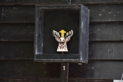 Hirsch
